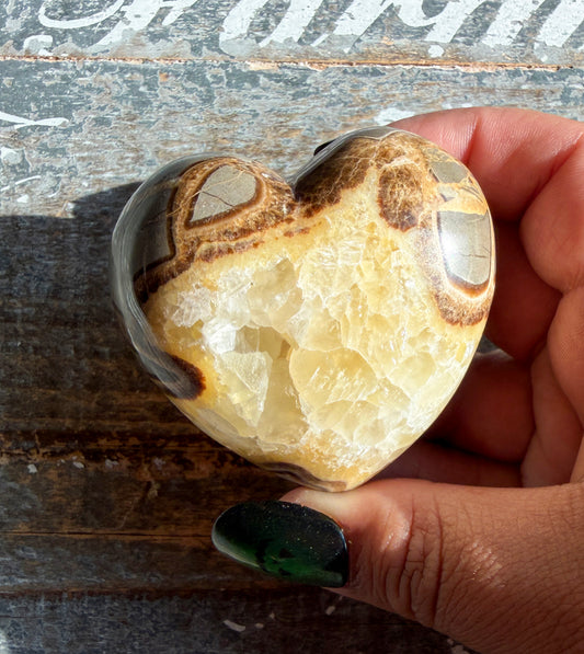 Gorgeous Septarian Heart from Utah | Opt D