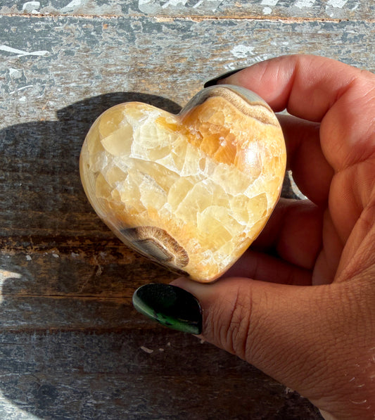 Gorgeous Septarian Heart from Utah | Opt A