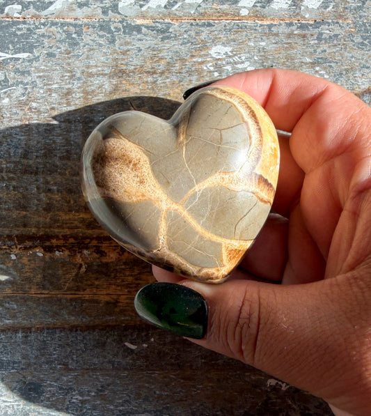 Gorgeous Septarian Heart from Utah | Opt A