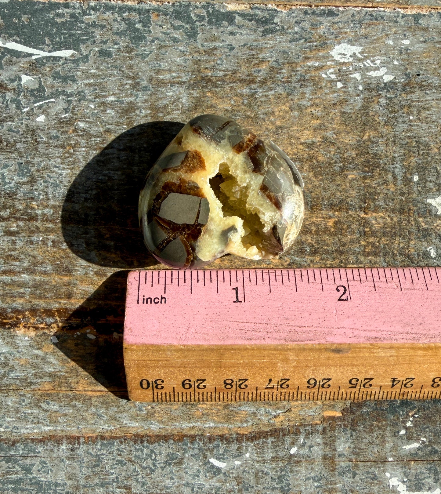 Gorgeous Septarian Mini Heart from Utah | Opt Z