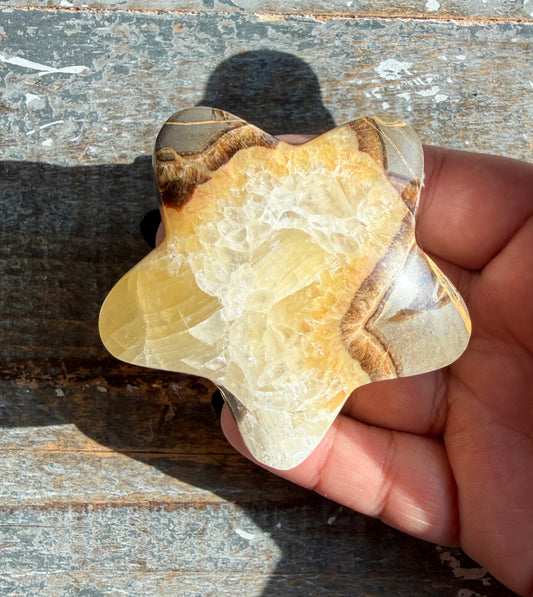 Gorgeous Septarian Puffy Star from Utah | Opt C
