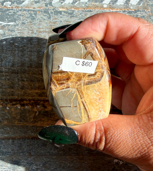 Gorgeous Septarian Puffy Star from Utah | Opt C