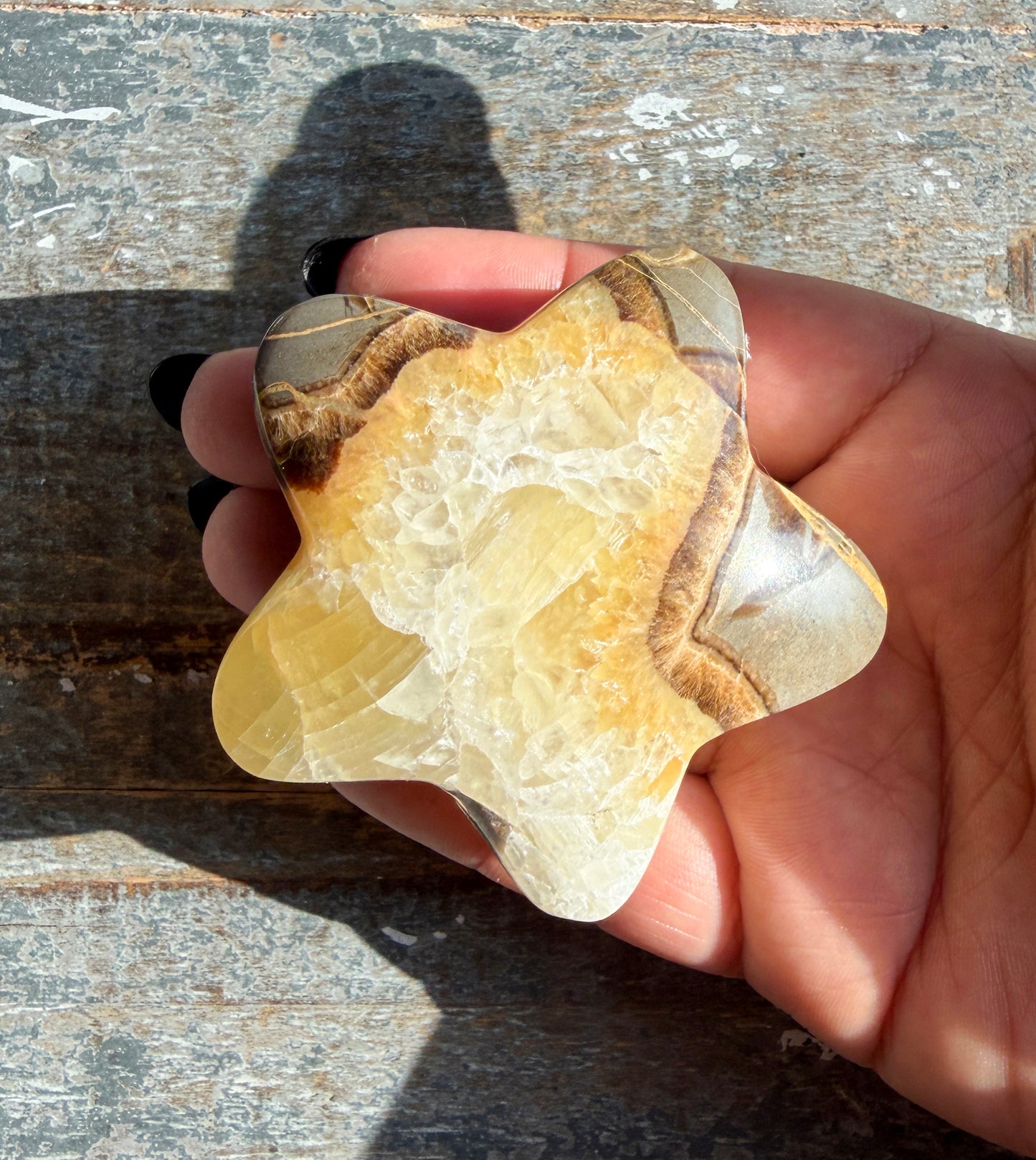 Gorgeous Septarian Puffy Star from Utah | Opt C