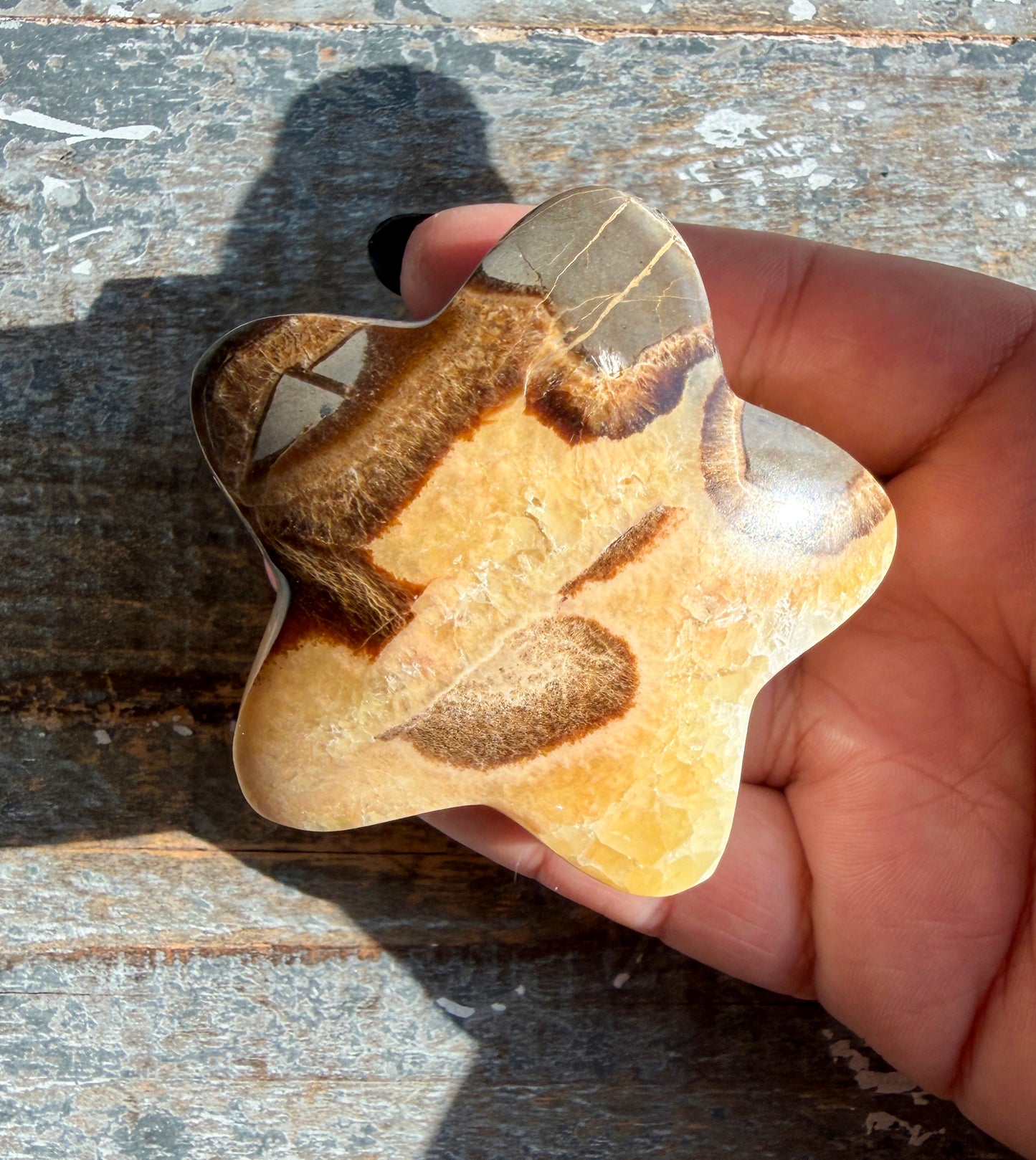 Gorgeous Septarian Puffy Star from Utah | Opt C