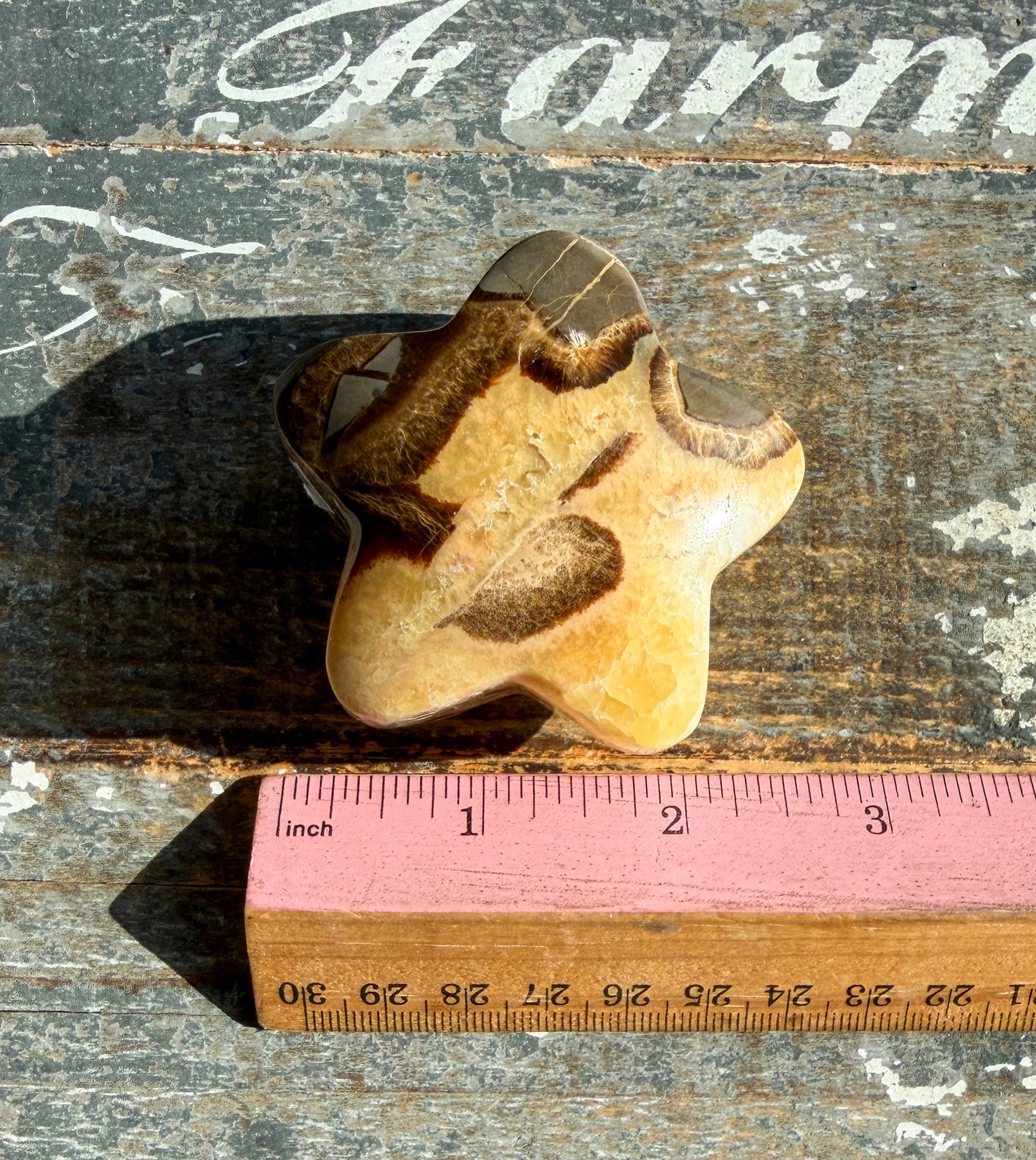 Gorgeous Septarian Puffy Star from Utah | Opt C