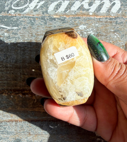 Gorgeous Septarian Puffy Star from Utah | Opt B