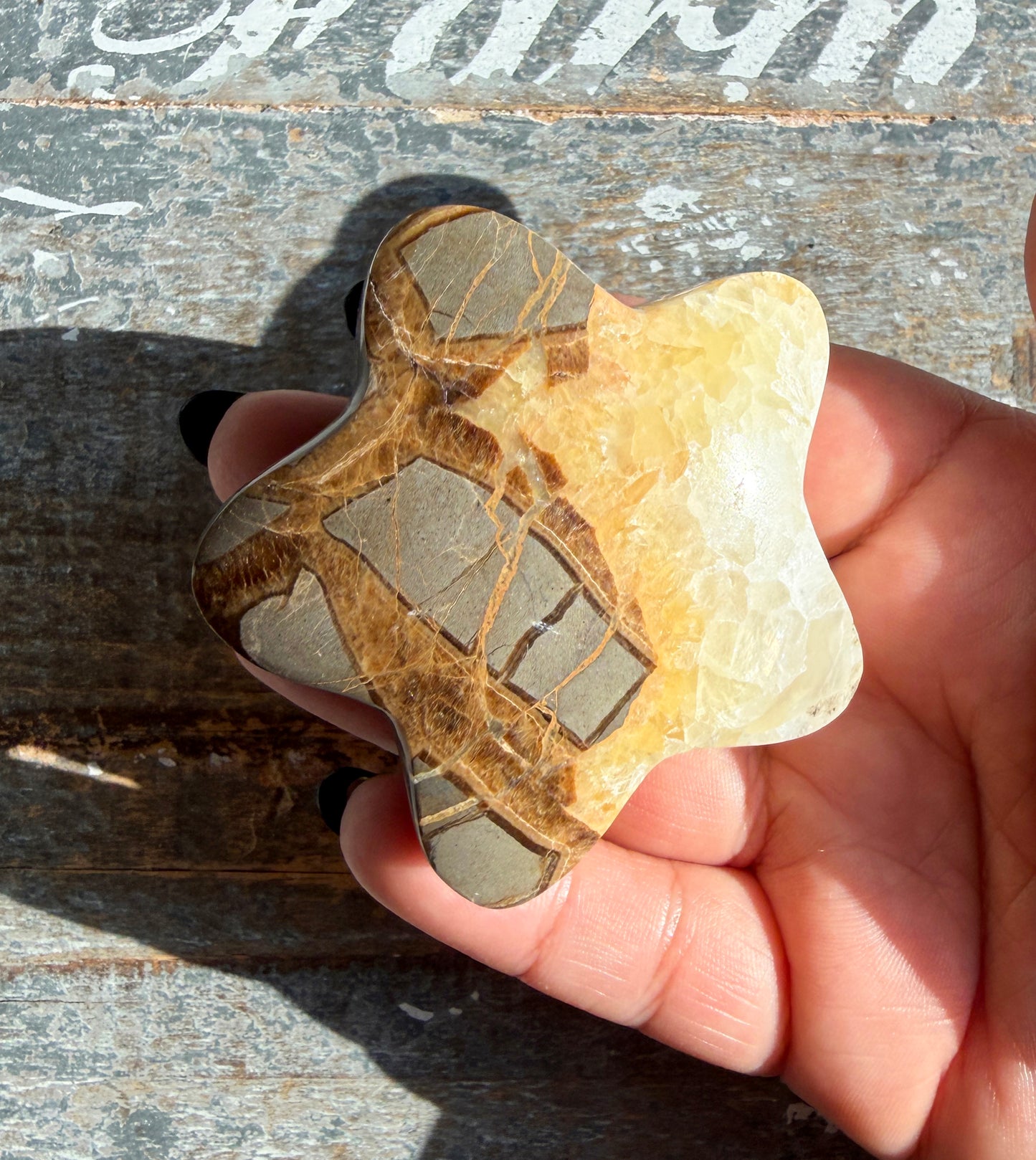 Gorgeous Septarian Puffy Star from Utah | Opt B