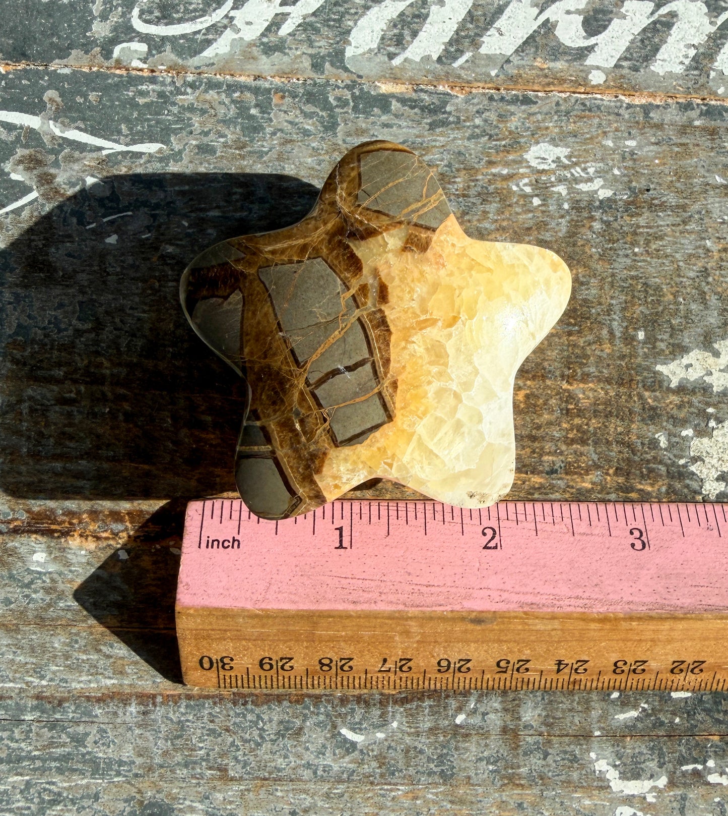 Gorgeous Septarian Puffy Star from Utah | Opt B