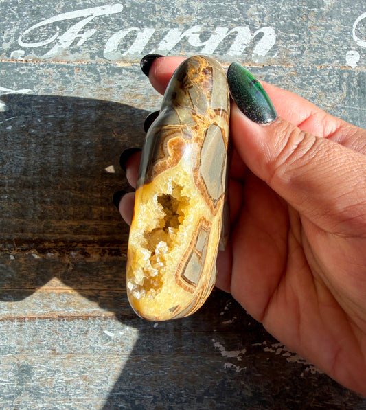 Gorgeous Septarian Buffalo from Utah | Opt C