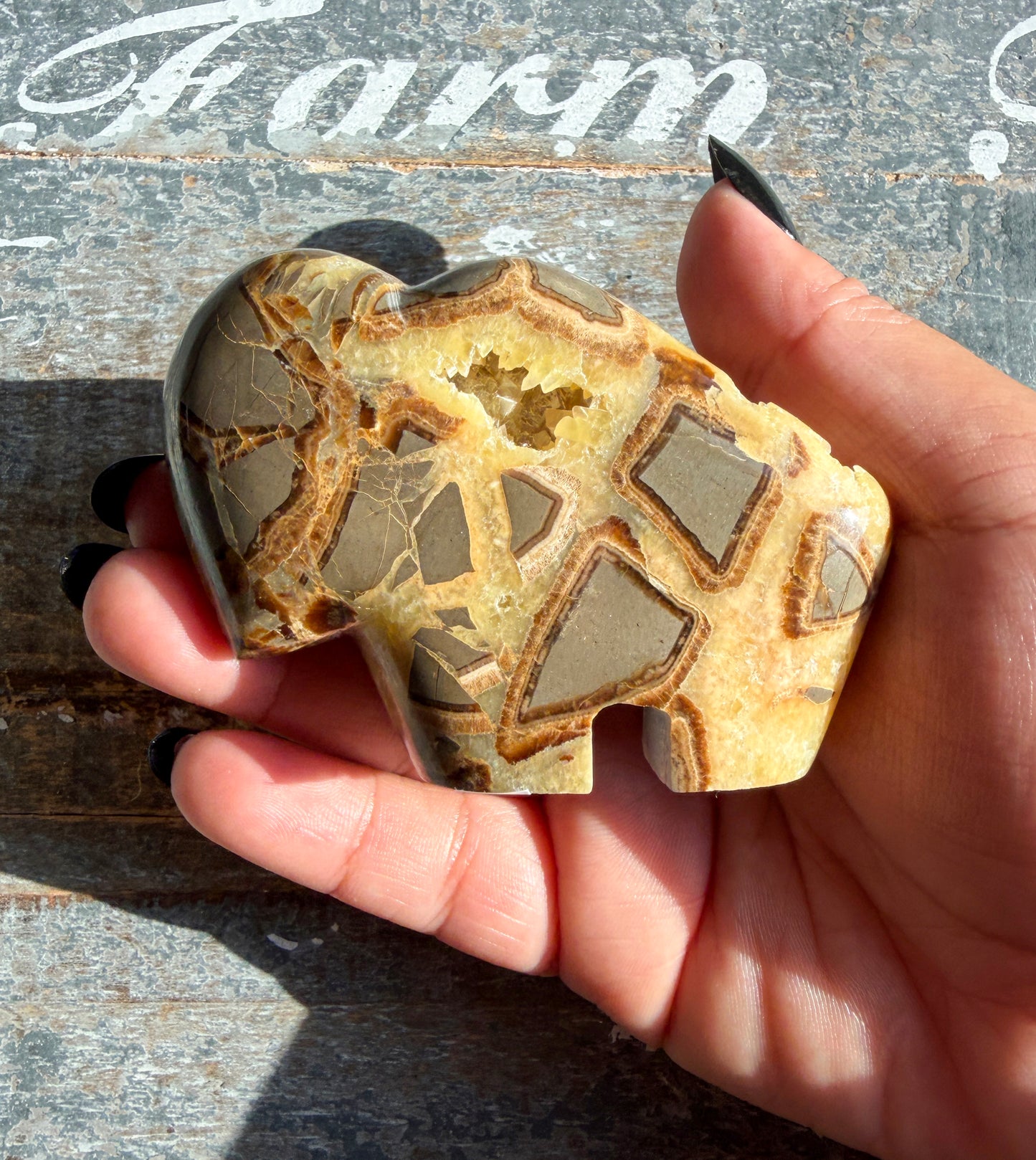 Gorgeous Septarian Buffalo from Utah | Opt C