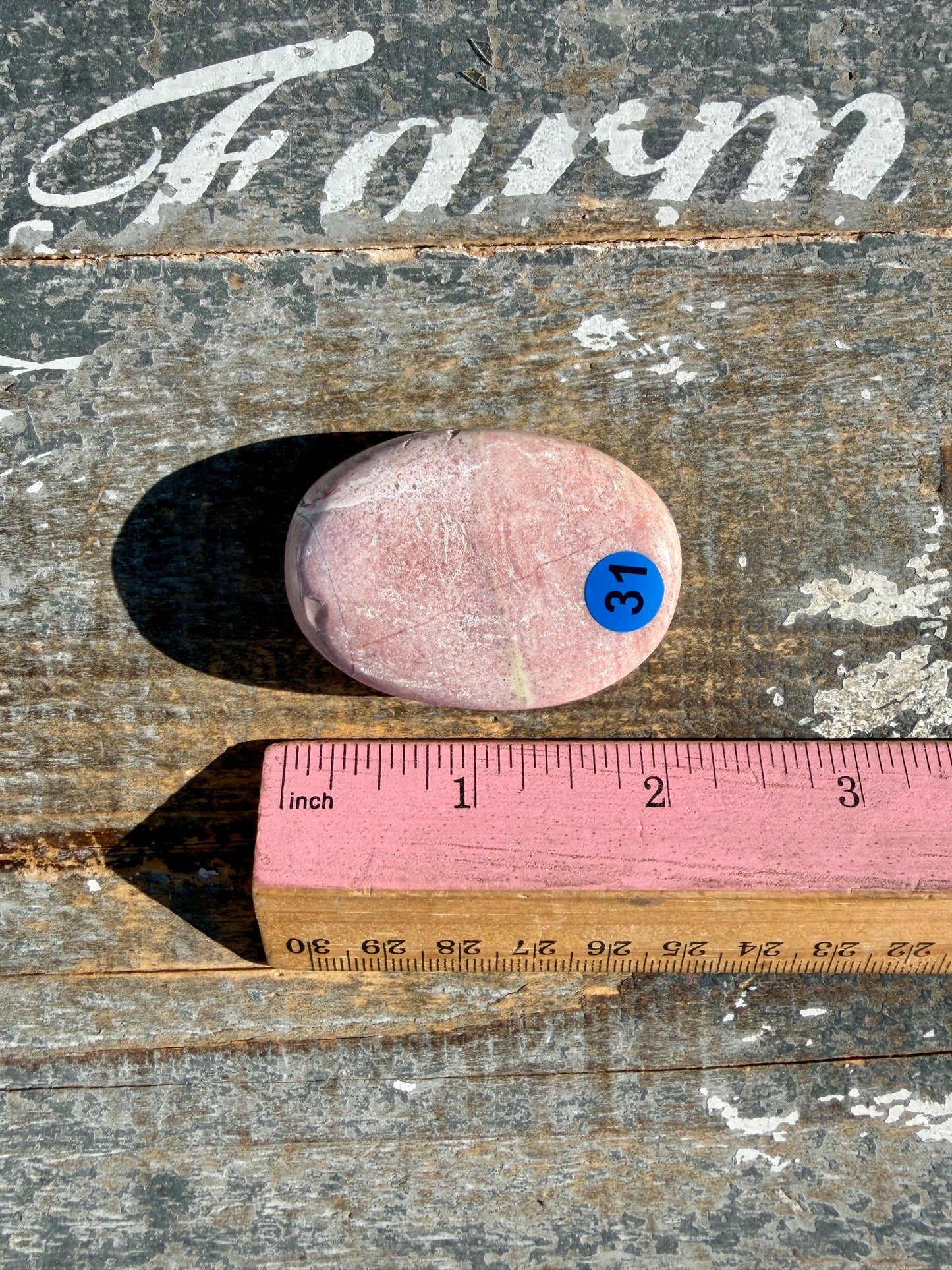 Pastel Unicorn Jasper Palm Stone | India | Opt 31
