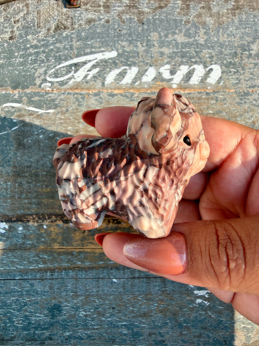 Adorable Desert Plain Jasper Highland Cow | Opt Z