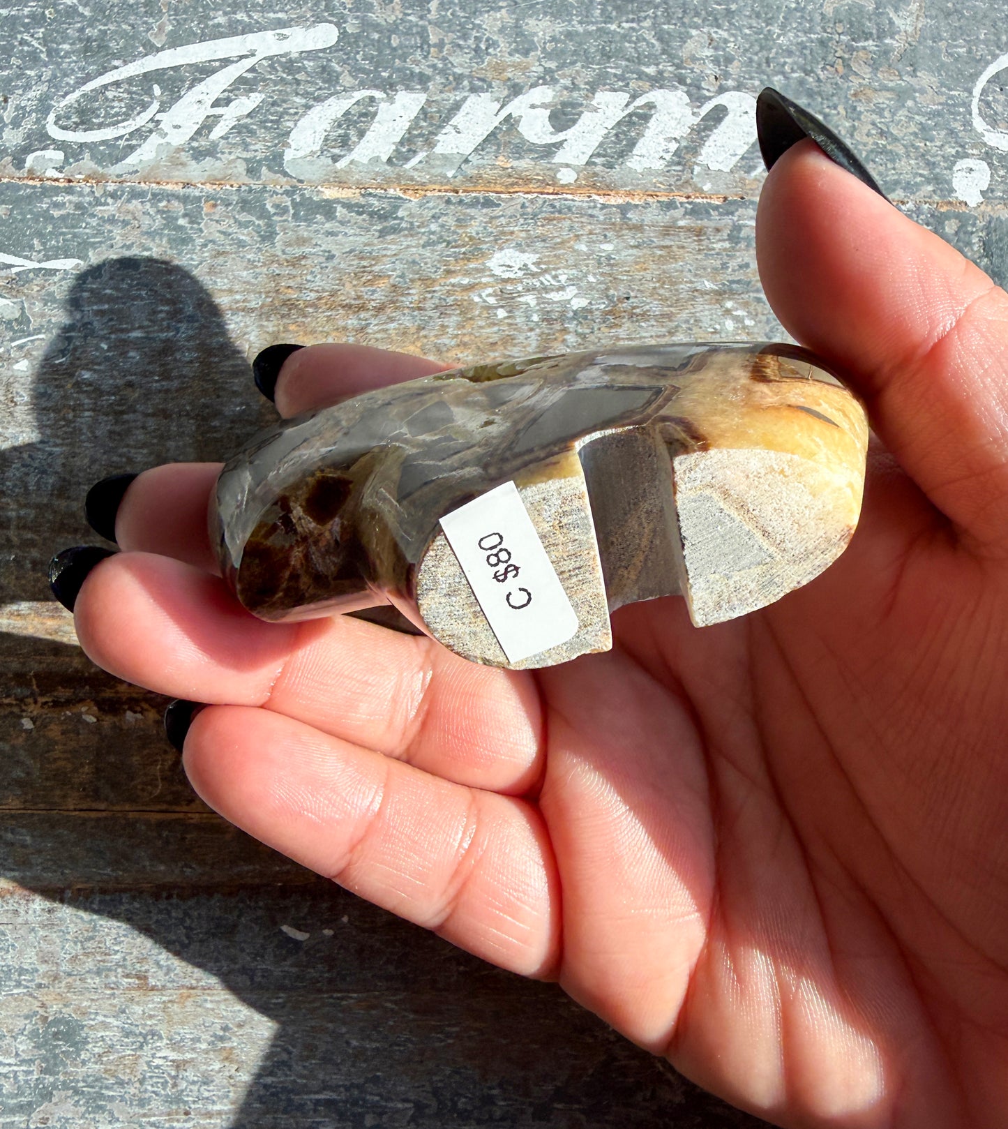Gorgeous Septarian Buffalo from Utah | Opt C