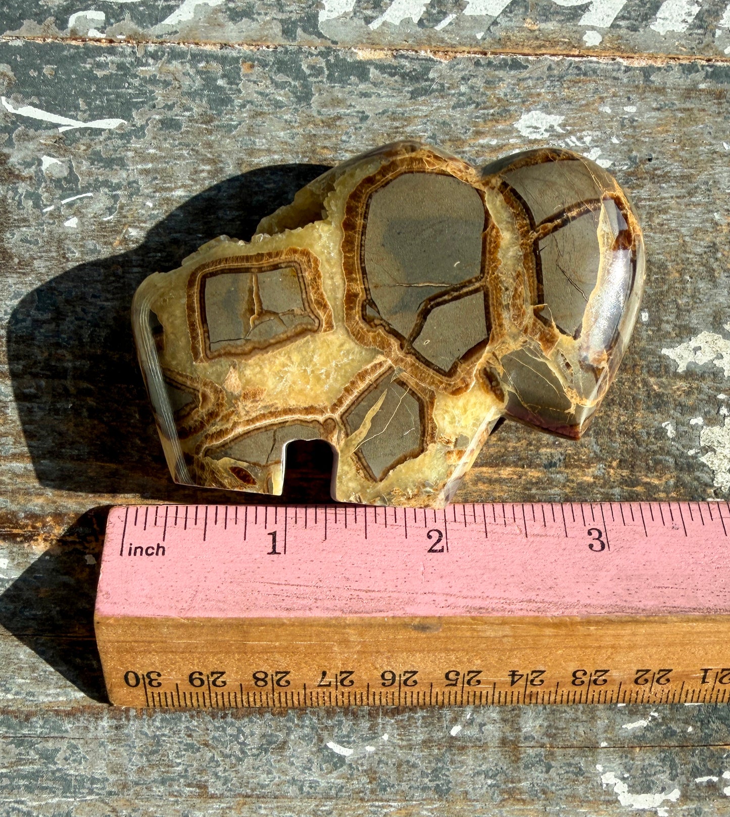 Gorgeous Septarian Buffalo from Utah | Opt C