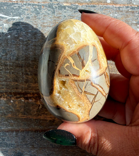 Gorgeous Septarian Egg from Utah | Opt D