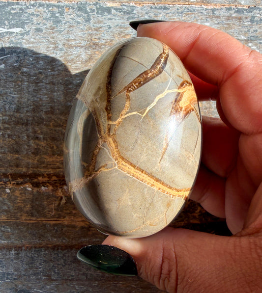 Gorgeous Septarian Egg from Utah | Opt D
