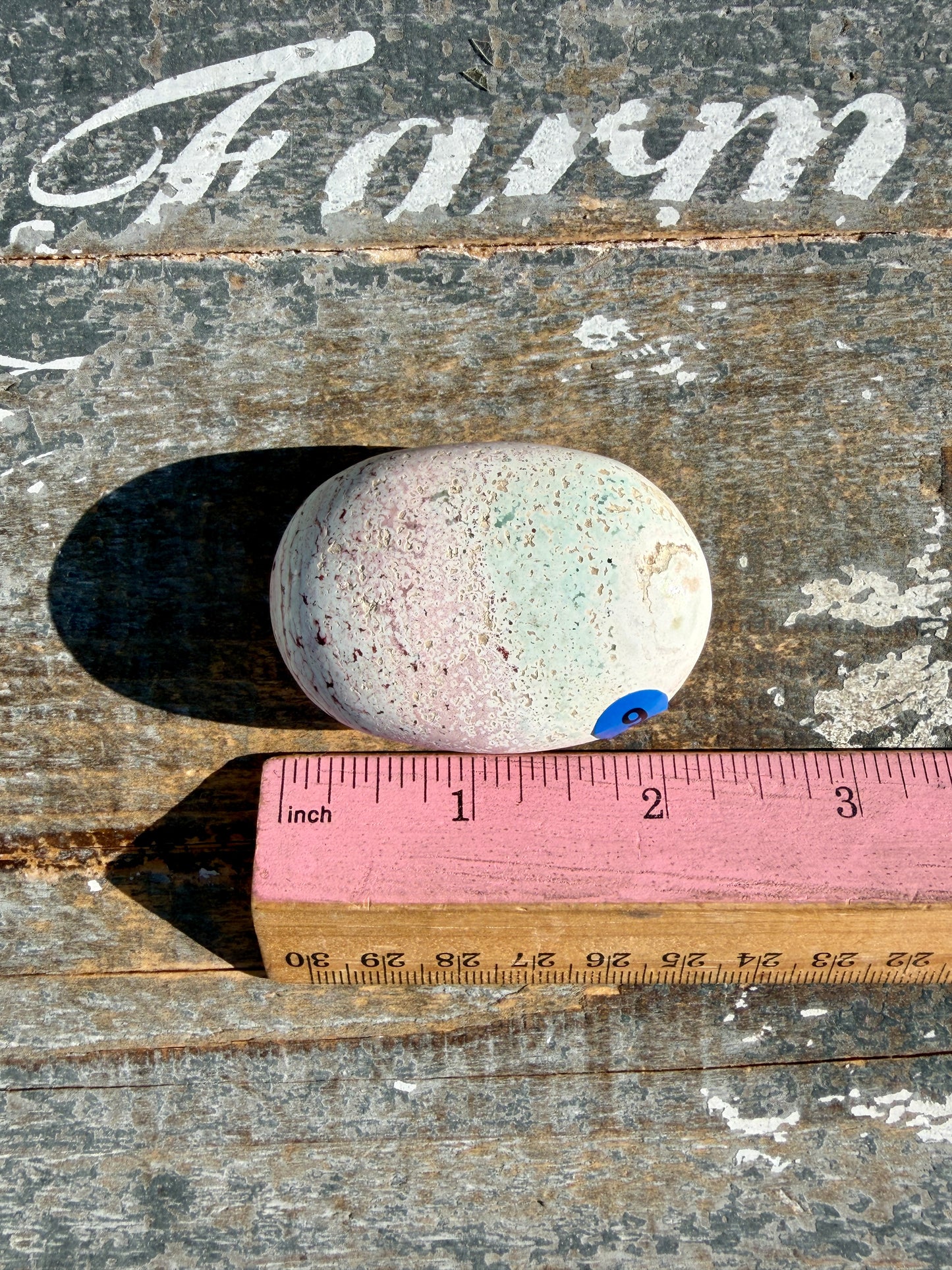Pastel Unicorn Jasper Palm Stone | India | Opt 6