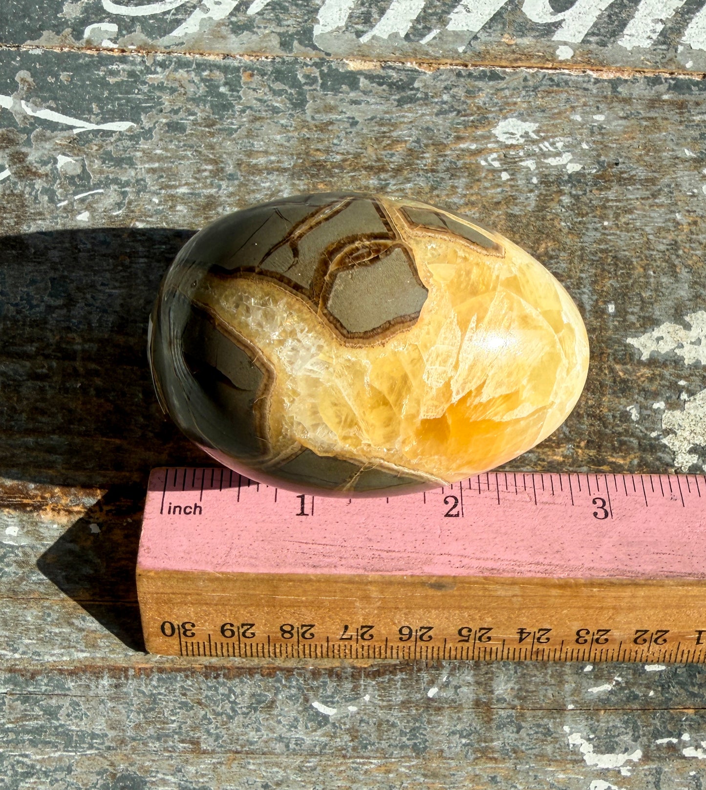 Gorgeous Septarian Egg from Utah | Opt D