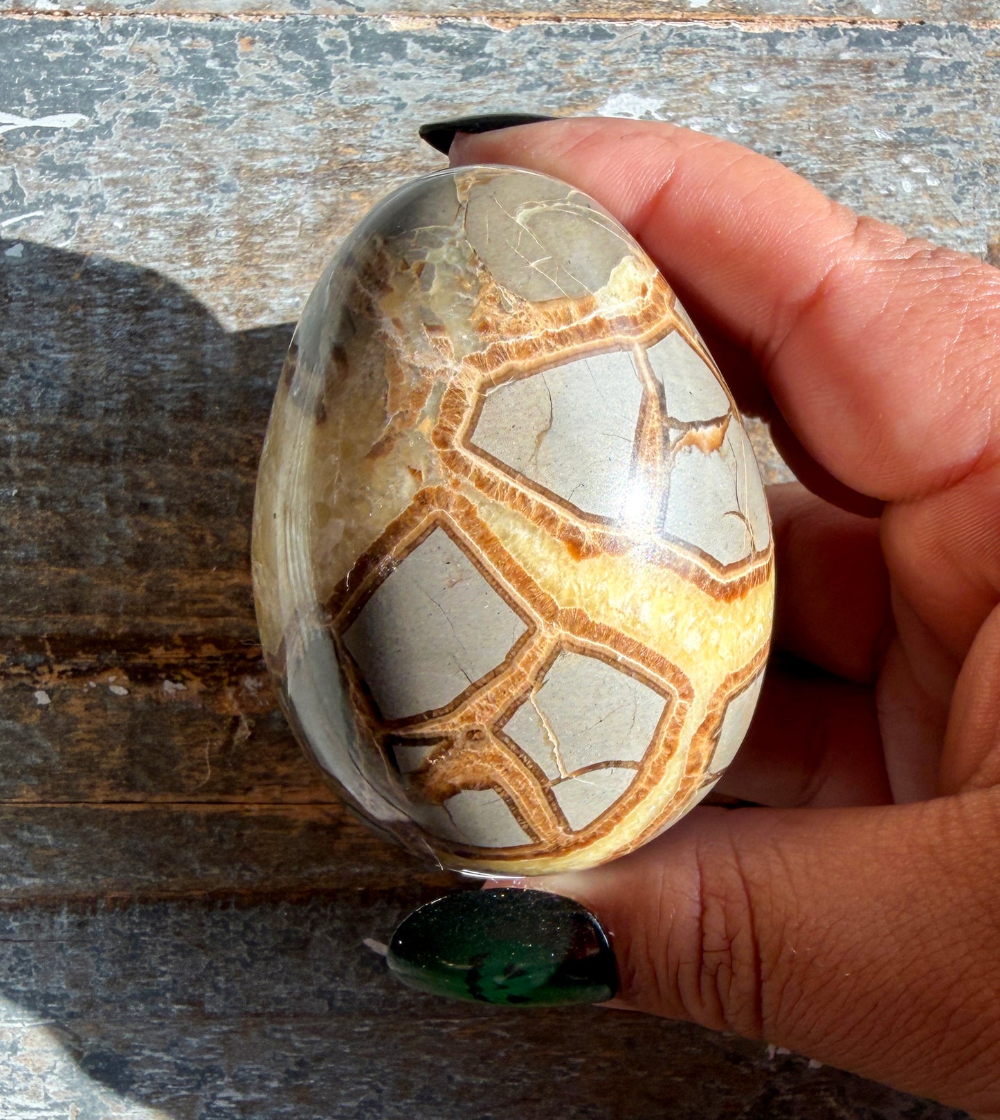 Gorgeous Septarian Egg from Utah | Opt A