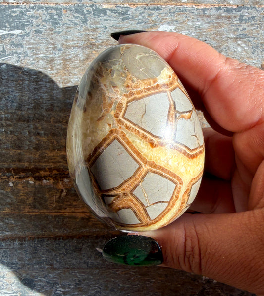 Gorgeous Septarian Egg from Utah | Opt A