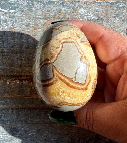 Gorgeous Septarian Egg from Utah | Opt A