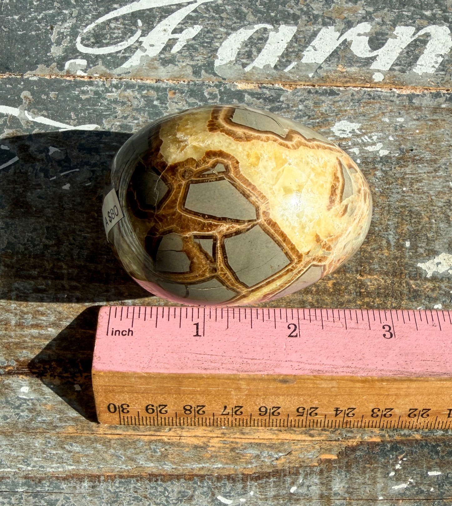 Gorgeous Septarian Egg from Utah | Opt A