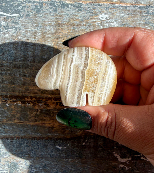 Gorgeous Bumblebee Calcite Bear from Mexico | Opt D