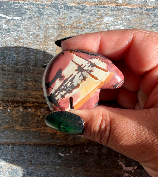 Gorgeous Noreena Jasper Bear from Western Australia | Opt S