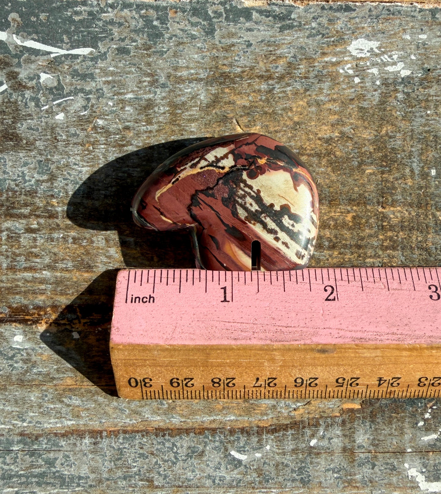 Gorgeous Noreena Jasper Bear from Western Australia | Opt S