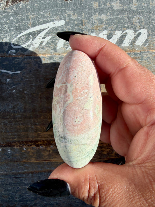 Gorgeous Pastel Unicorn Jasper Lingam | Opt D