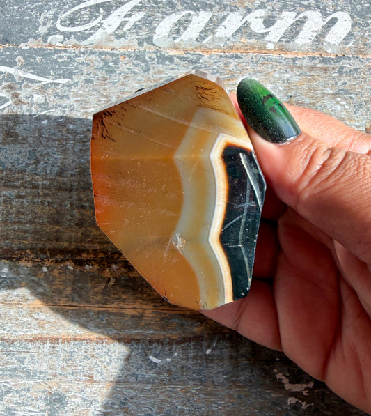 Gorgeous Carnelian Freeform | Opt D