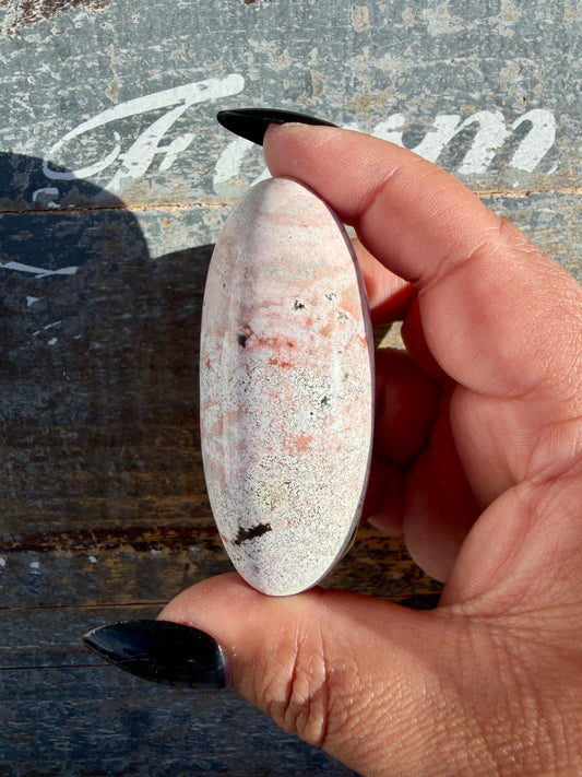 Gorgeous Pastel Unicorn Jasper Lingam | Opt B