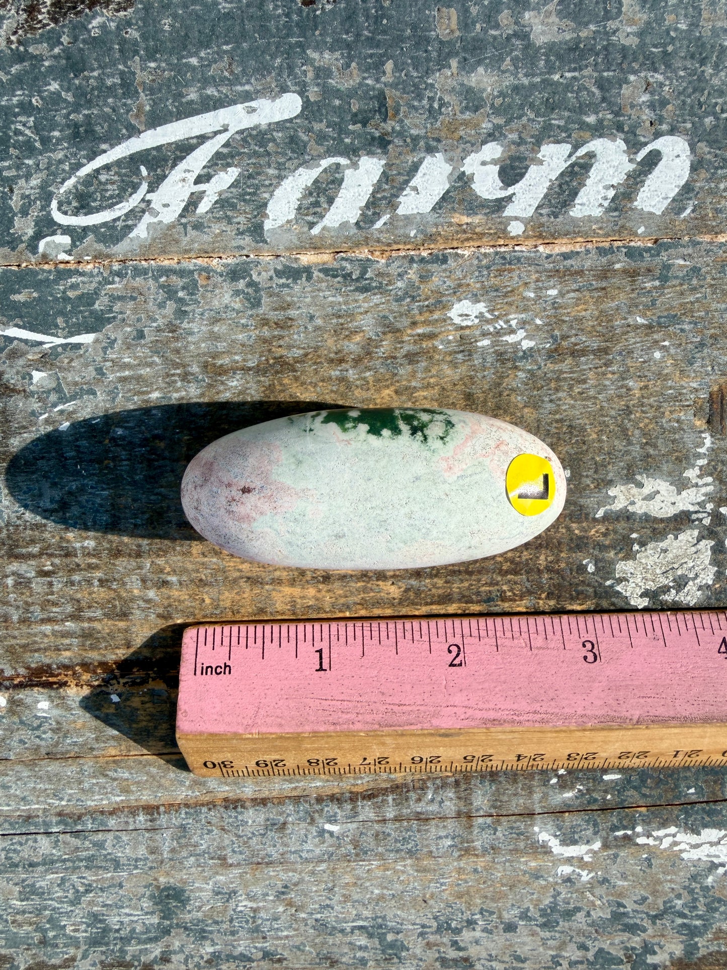 Gorgeous Pastel Unicorn Jasper Lingam | Opt L