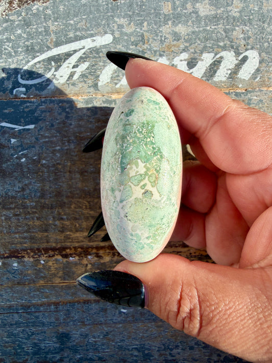 Gorgeous Pastel Unicorn Jasper Lingam | Opt K