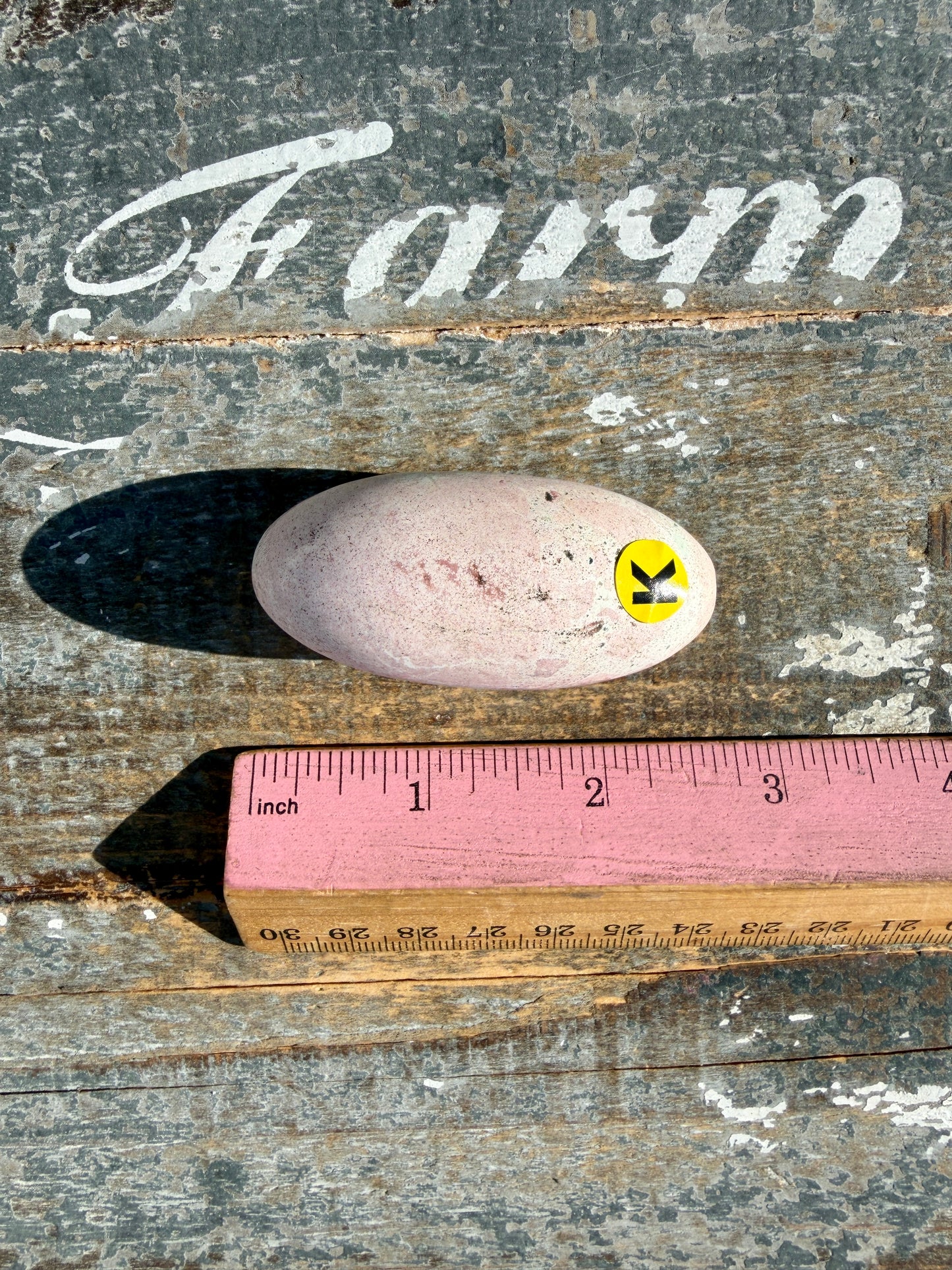 Gorgeous Pastel Unicorn Jasper Lingam | Opt K