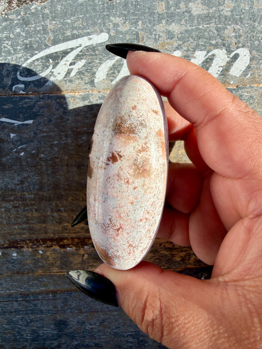 Gorgeous Pastel Unicorn Jasper Lingam | Opt H