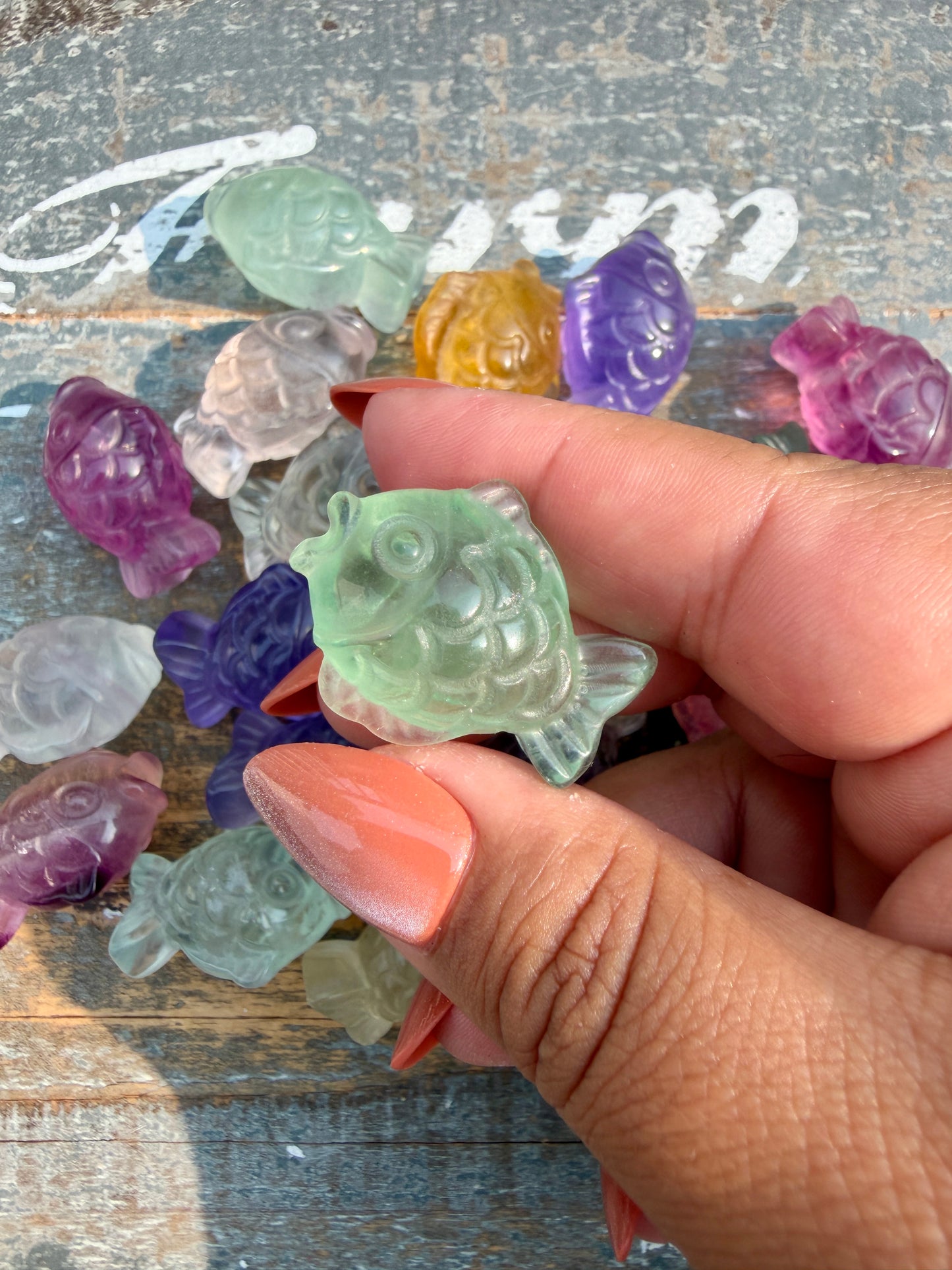 One (1) Rainbow Fluorite Fish | Intuitively Chosen