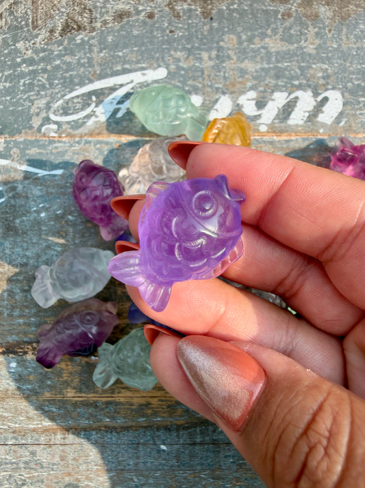One (1) Rainbow Fluorite Fish | Intuitively Chosen