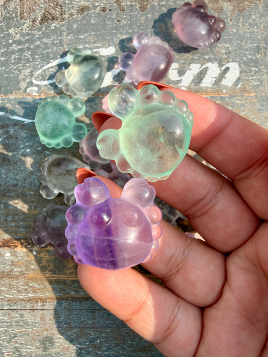 One (1) Rainbow Fluorite Crab | Intuitively Chosen