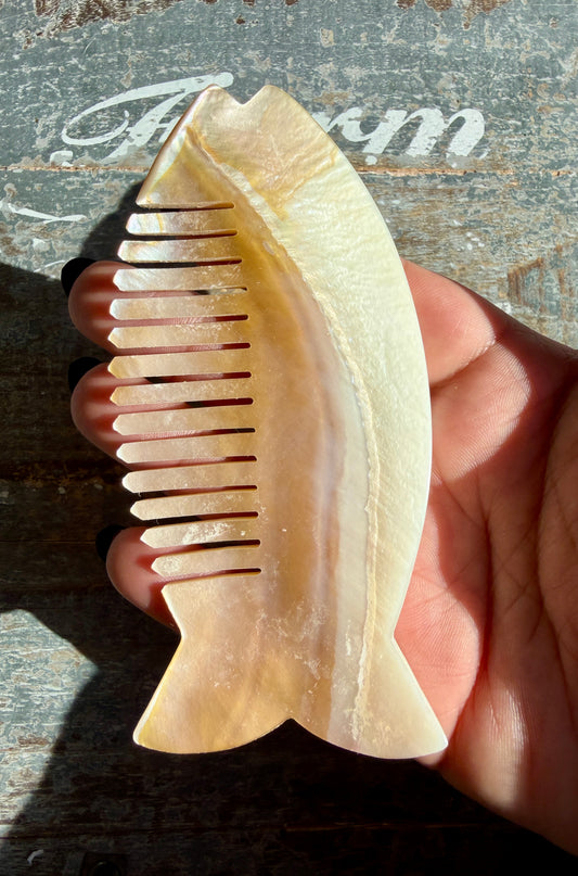 Gorgeous Iridescent Fish Comb | Hand-Carved Mother of Pearl Shell | Opt X