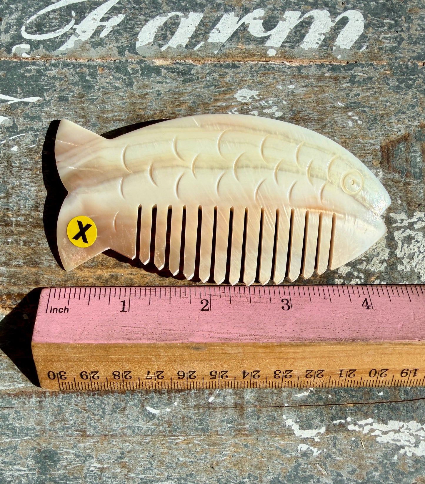 Gorgeous Iridescent Fish Comb | Hand-Carved Mother of Pearl Shell | Opt X