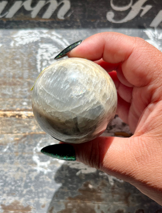Gorgeous Blue/Grey Moonstone Sphere from India *Tucson Gem Show Exclusive*