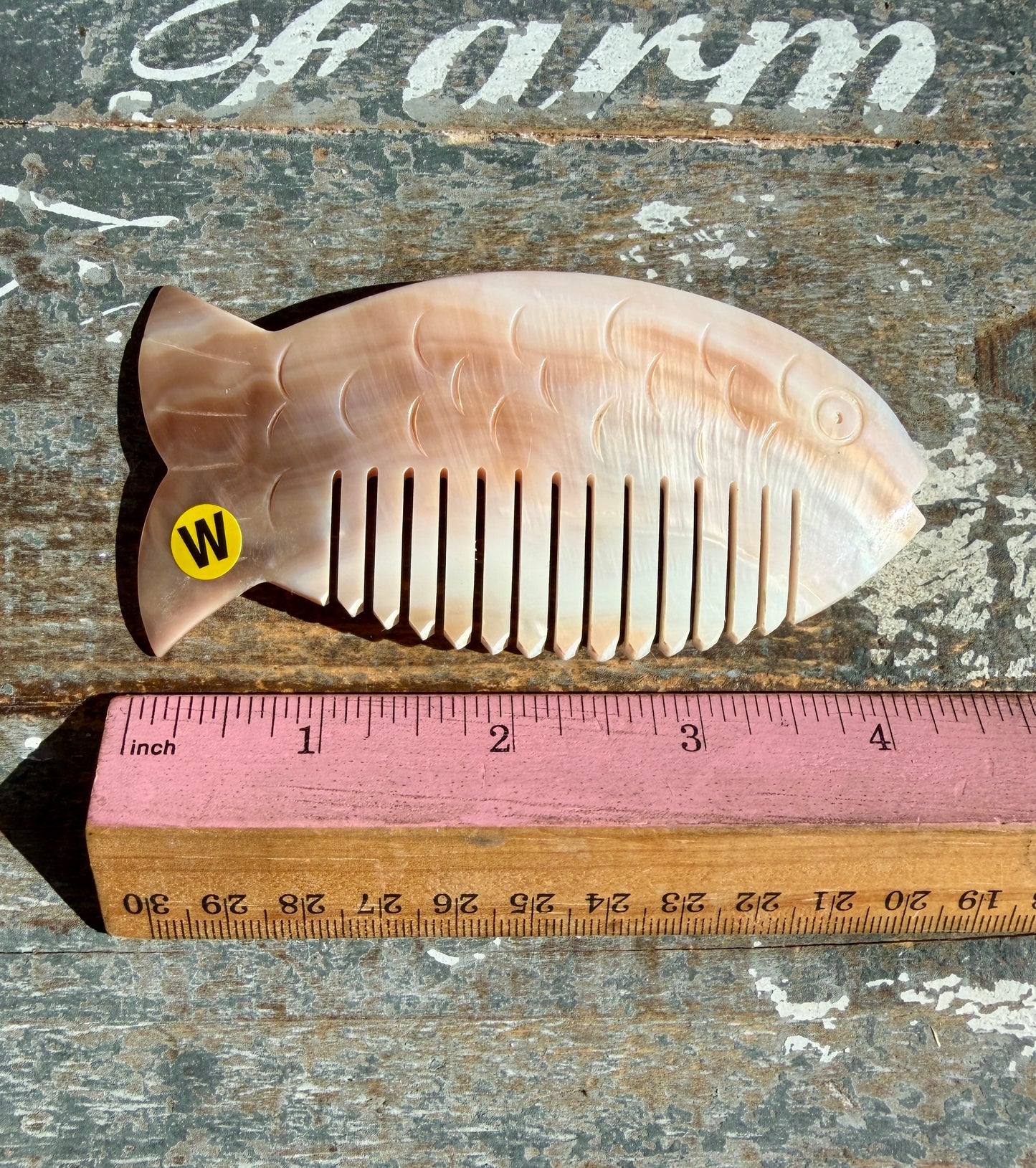 Gorgeous Iridescent Fish Comb | Hand-Carved Mother of Pearl Shell | Opt W