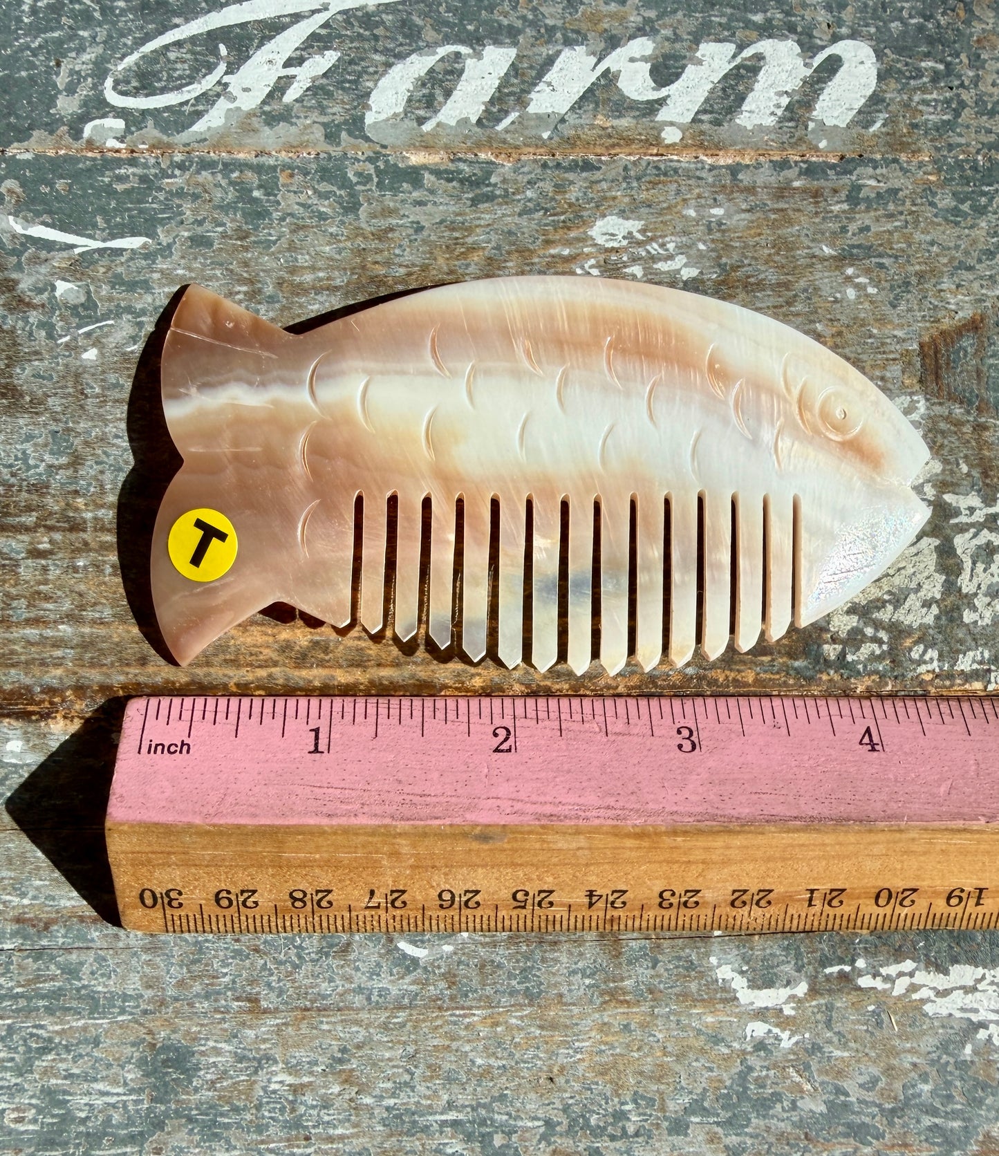Gorgeous Iridescent Fish Comb | Hand-Carved Mother of Pearl Shell | Opt T