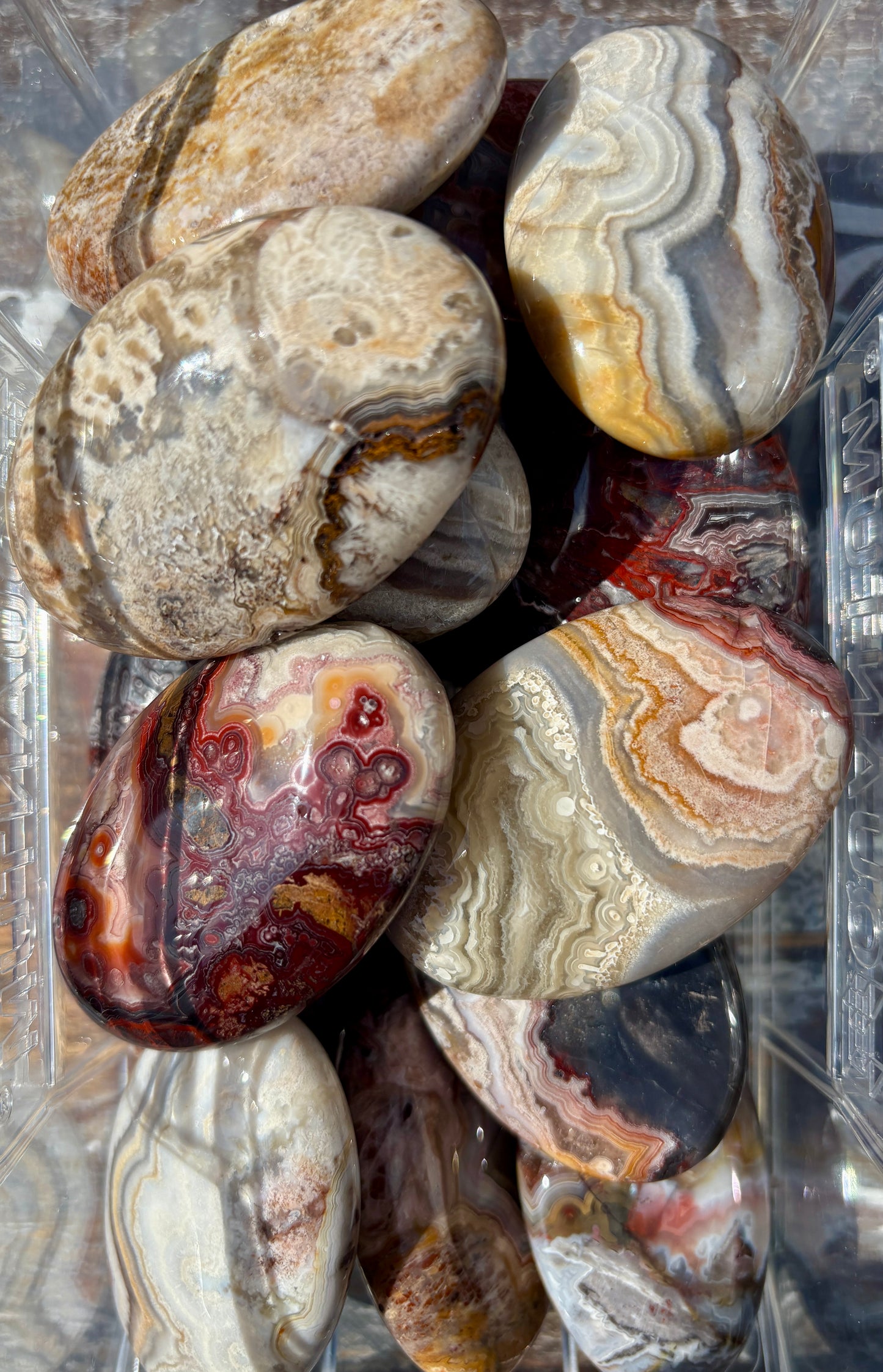 One (1) Gorgeous Crazy Lace Agate Palmstone (Mexico)