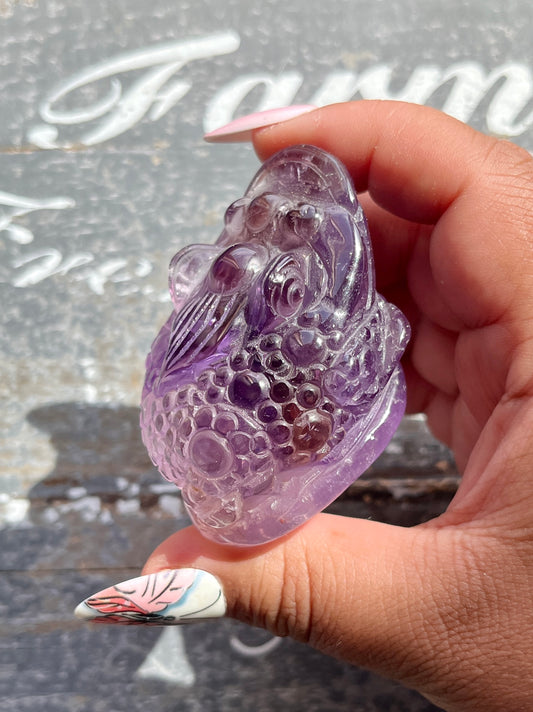 Gorgeous High Quality Master Carved Ametrine Money Toad from Brazil