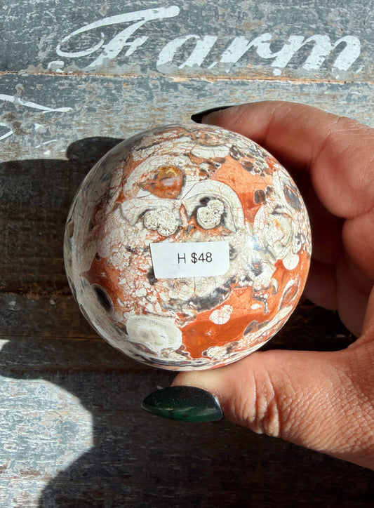 Gorgeous Money Agate (Rhyolite) Sphere | Opt H