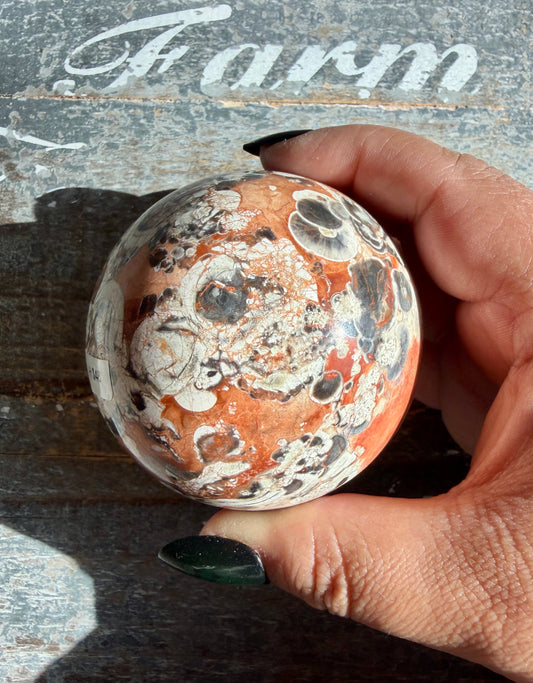 Gorgeous Money Agate (Rhyolite) Sphere | Opt H