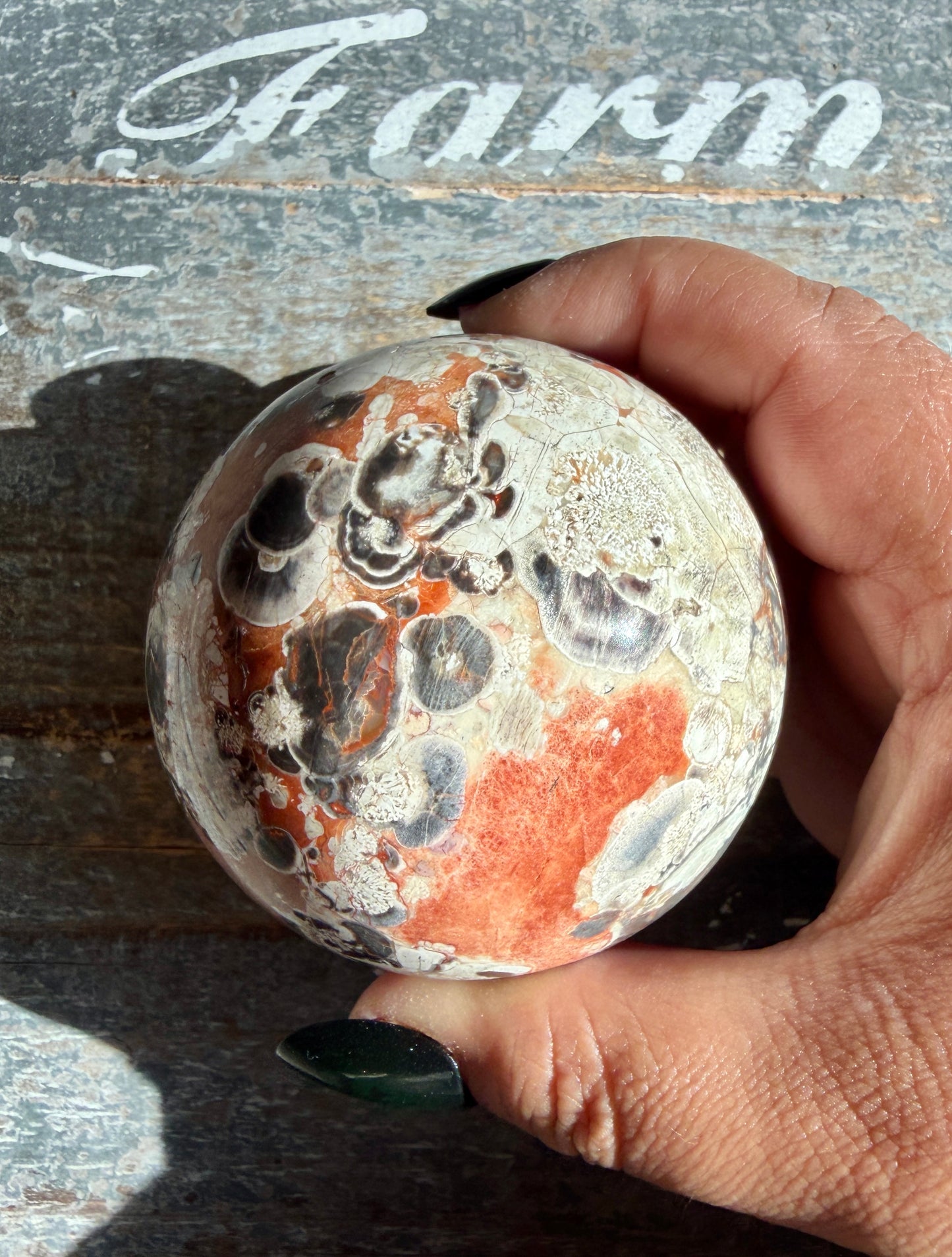 Gorgeous Money Agate (Rhyolite) Sphere | Opt H