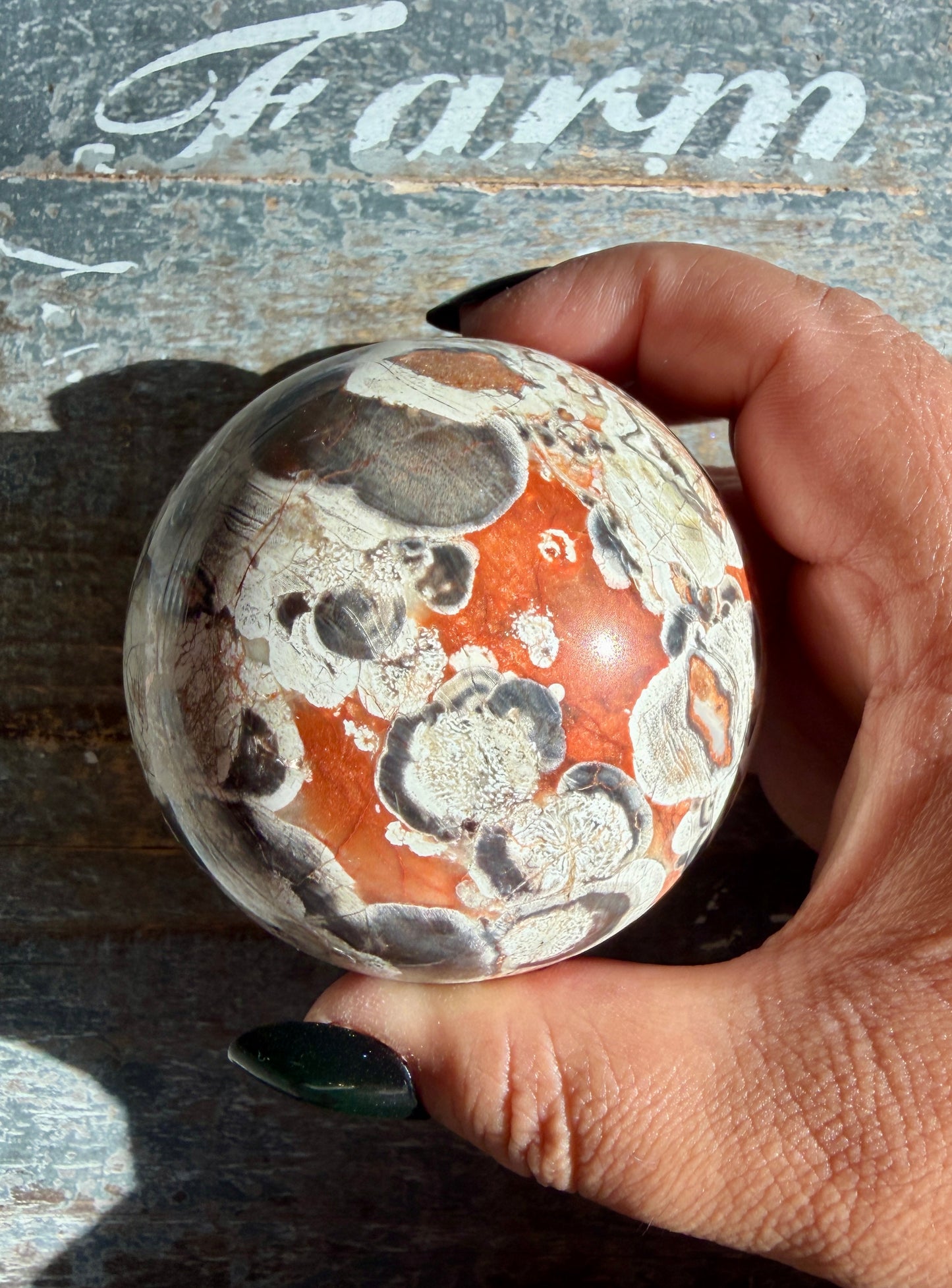 Gorgeous Money Agate (Rhyolite) Sphere | Opt H